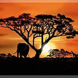Spalanzani Africa