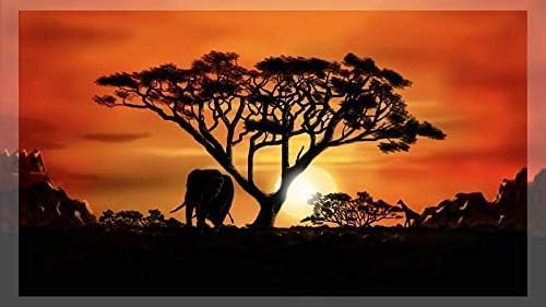 Spalanzani Africa