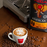 Kenya AA 908 g - Beans