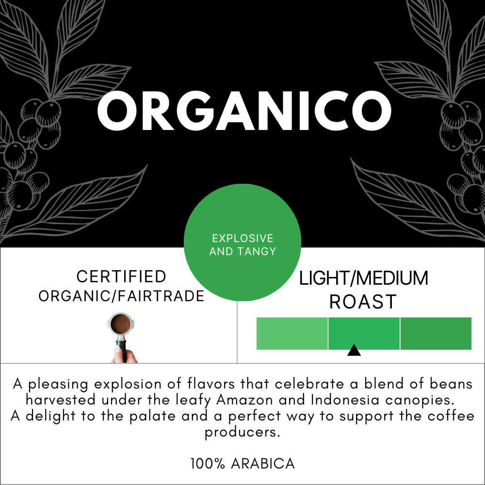 organico_120_capsules_nespresso_details